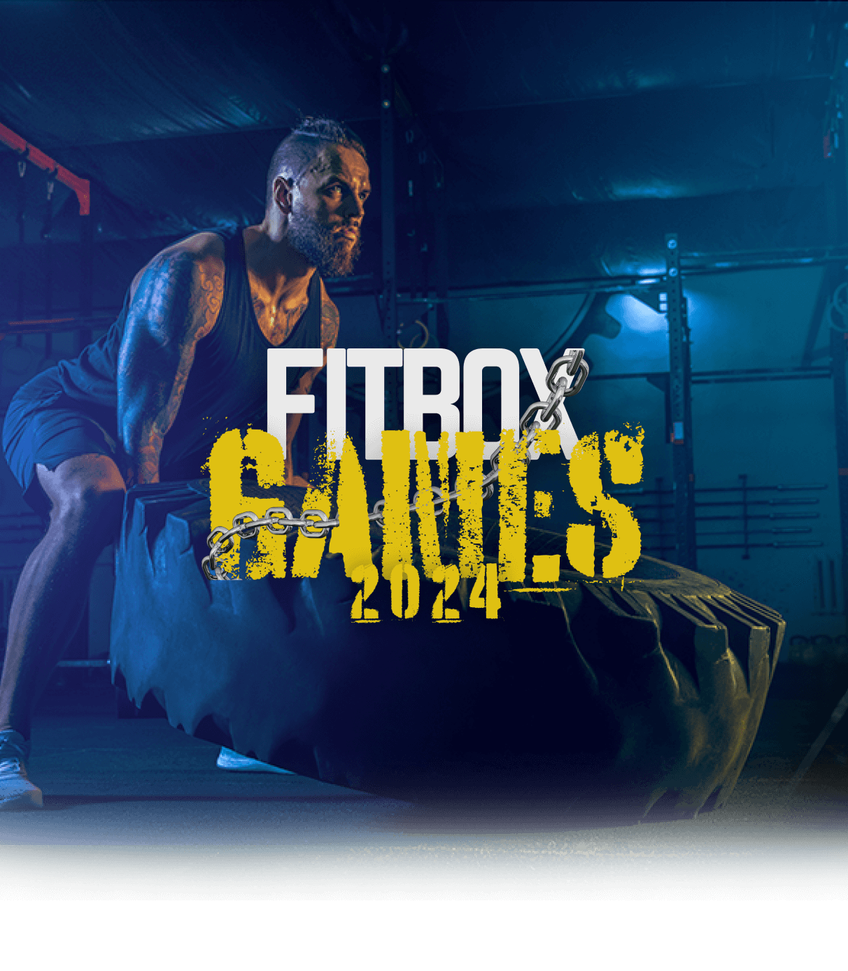 Fitbox games 2024